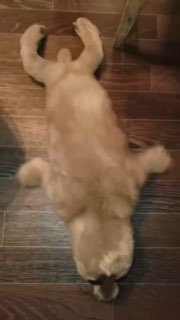 Иллюстрация 1