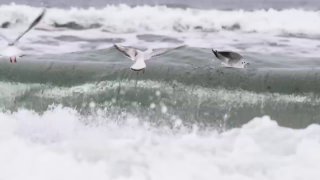 Вышла третья серия реалити-шоу о ранней беременности