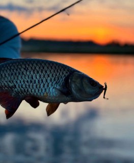 Церковь Ирландии помогла прихожанам с ростом цен на топливо