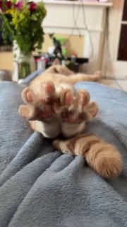 Тройка хороших новостей за день: от безопасности в Урале до шуток о войне