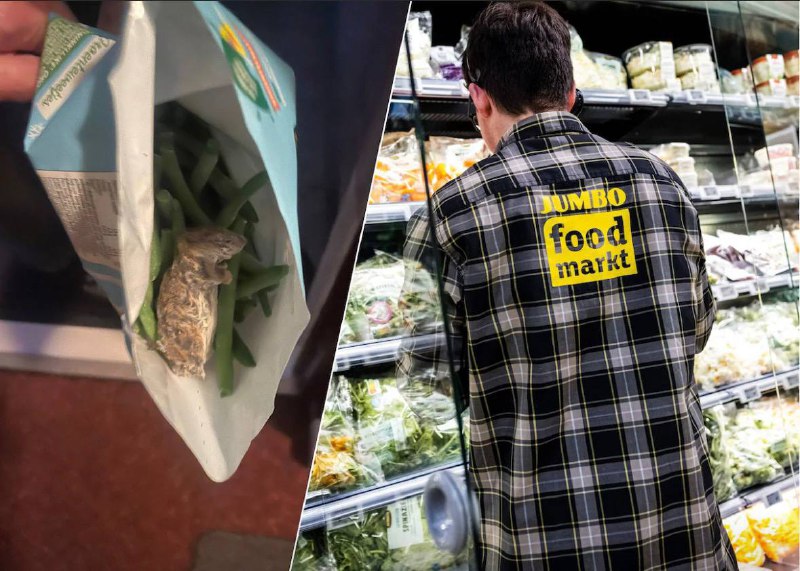 Мертвая мышь найдена в упаковке замороженной фасоли в Нидерландах