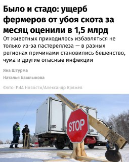 Ущерб сибирским фермерам от эпидемий превысил 1,5 млрд рублей