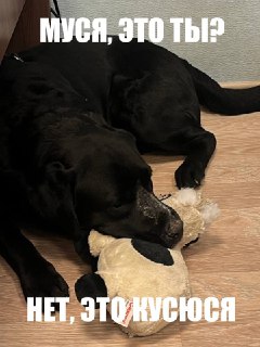 Иллюстрация 2