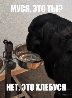 Иллюстрация 3