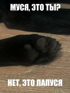 Иллюстрация 4