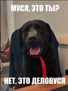 Иллюстрация 6