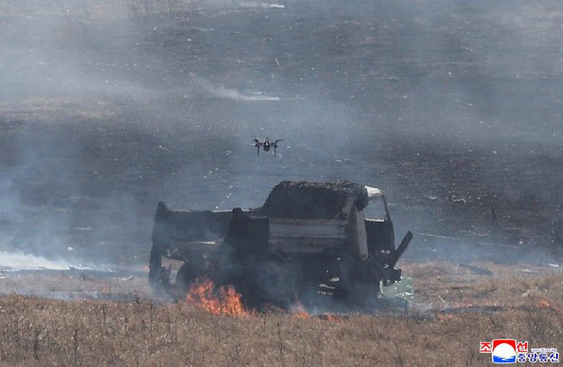 Иллюстрация 9