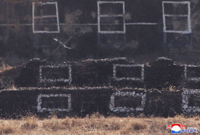 Иллюстрация 5