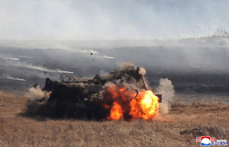 Иллюстрация 1