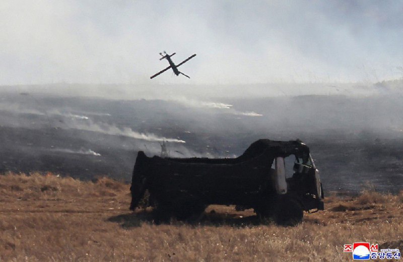 Иллюстрация 6