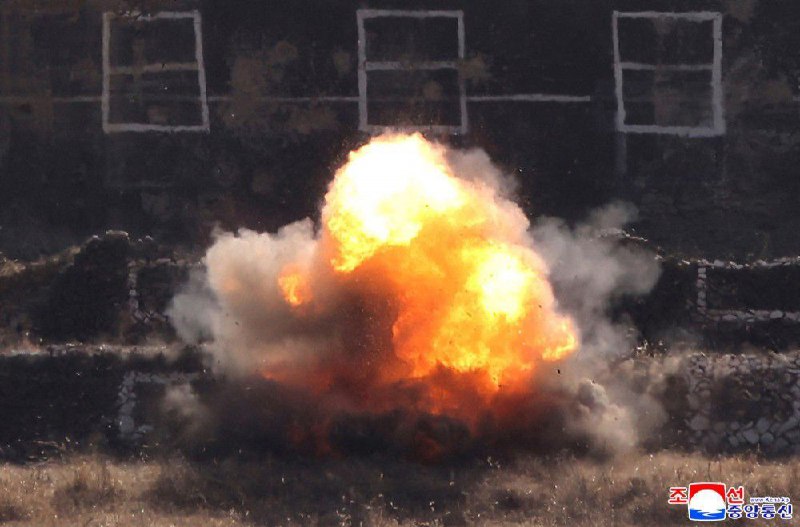 Иллюстрация 8