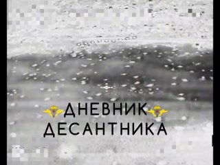 ВДВ уничтожили дрон ВСУ в Запорожском направлении