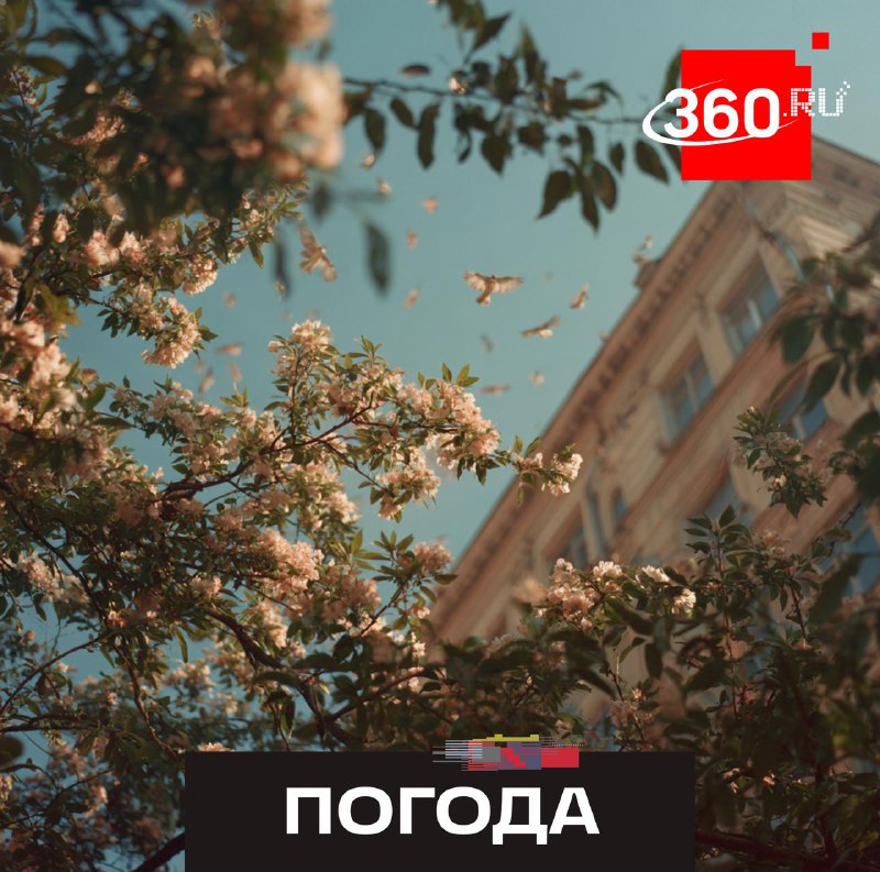 Весна наступает: температура выше нормы, снег тает к началу апреля