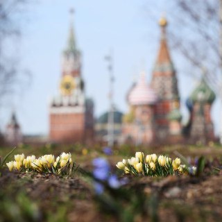 Тёплые и солнечные выходные в Москве: синоптик дал прогноз температур