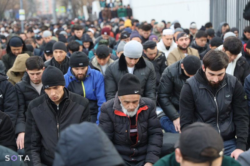 Иллюстрация 7