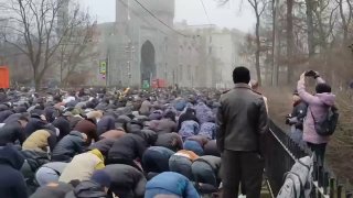 Иллюстрация 1