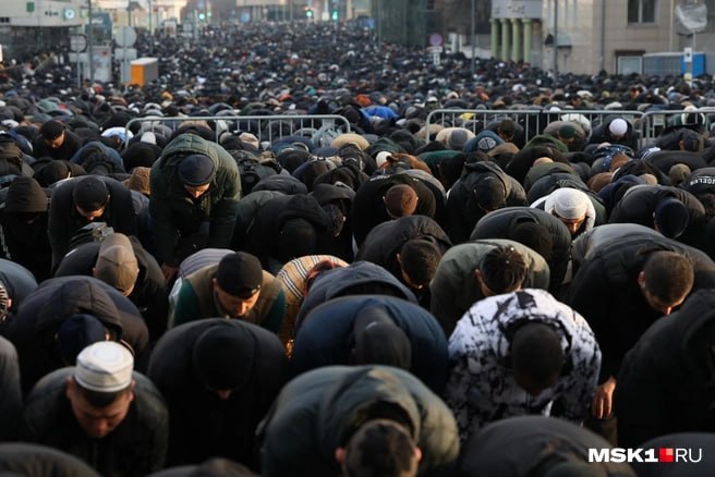 Иллюстрация 3