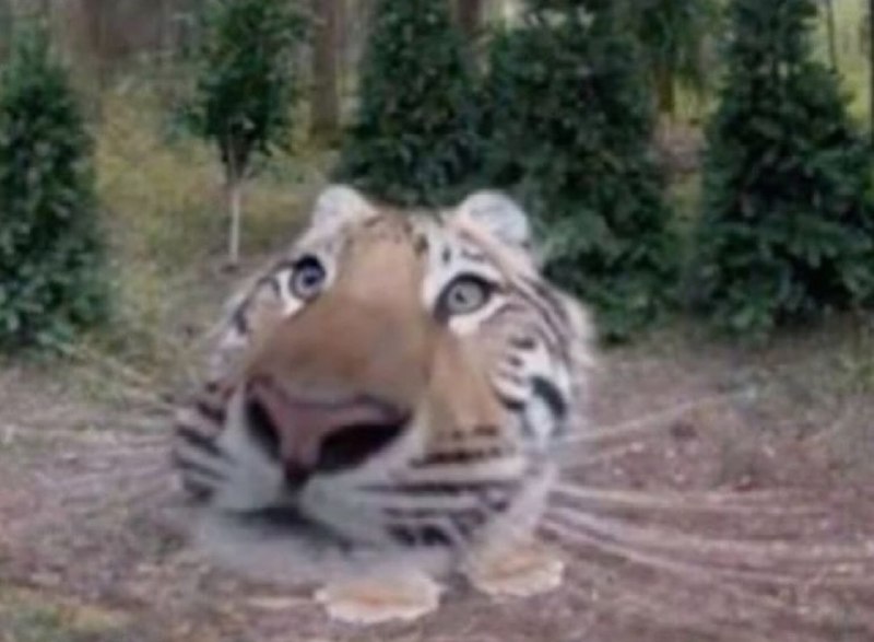 Иллюстрация 2