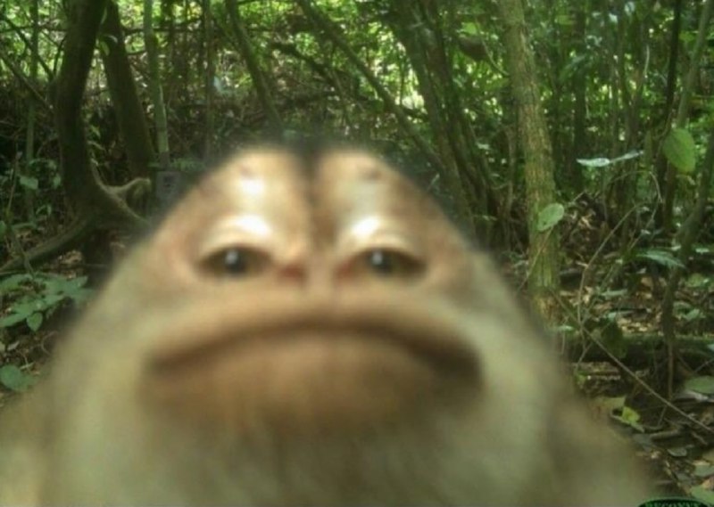 Иллюстрация 3