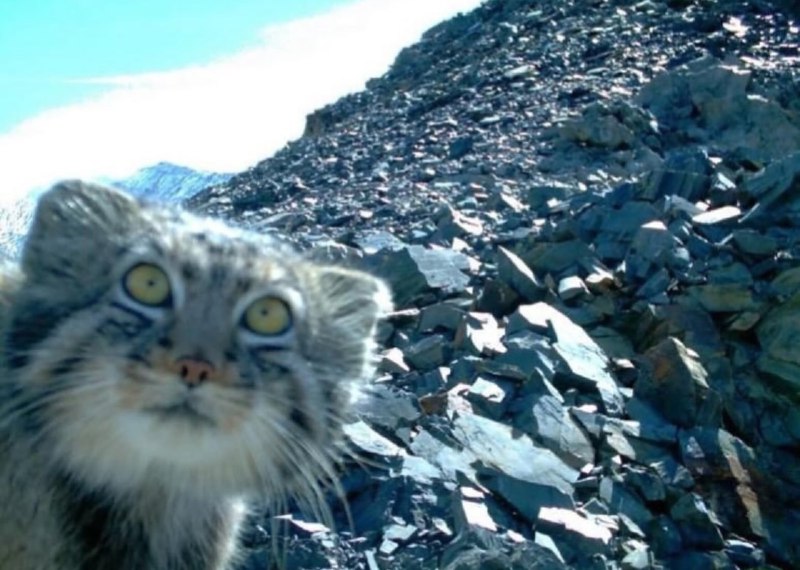 Иллюстрация 7