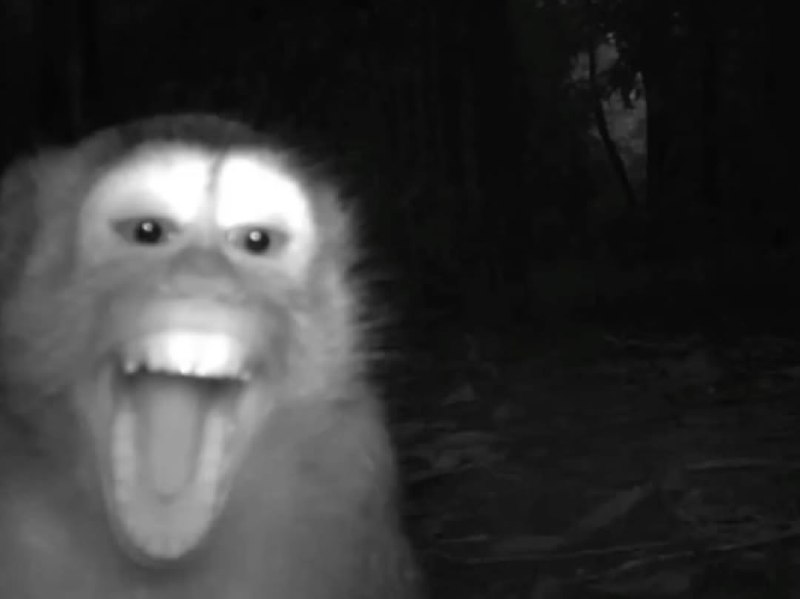 Иллюстрация 8