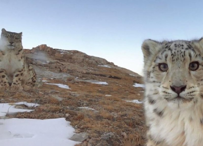 Иллюстрация 10