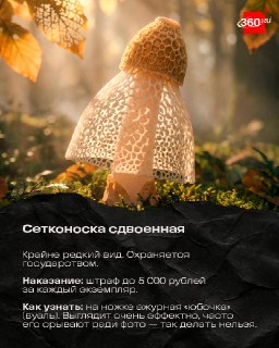 Иллюстрация 5