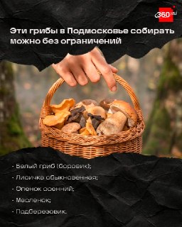 Иллюстрация 6