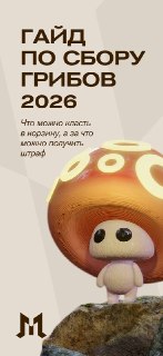 Гайд для грибников и злой шишкогриб