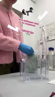 Учёные: драки на работе снижают стресс