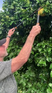 Иллюстрация 4