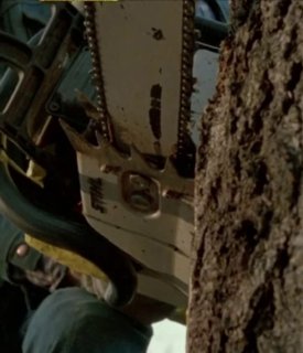 Чак Норрис как мемный феномен: от форумов до блокбастеров