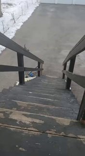 Брутальный образ против неловкости на лестнице