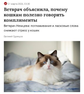 Ветеринар: хвалить и гладить кошек полезно для их здоровья