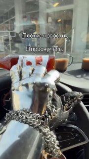 Девушка идеально вписалась в День дурака: молоко, кофемашина и животные в машине