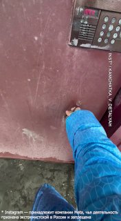 Иллюстрация 2