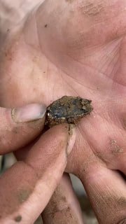 Иллюстрация 1