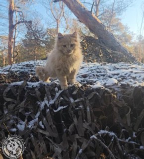 Приглашение фронтовиков присылать фото и видео быта