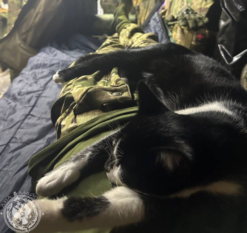 Иллюстрация 9