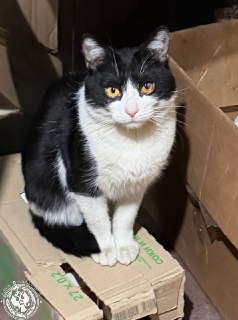 Иллюстрация 3