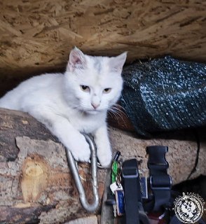 Иллюстрация 5