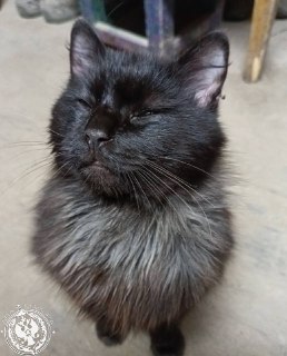 Иллюстрация 2