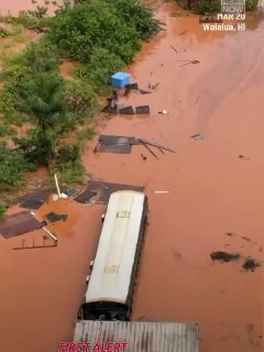 Иллюстрация 2