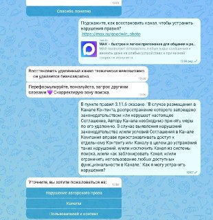 В мессенджере MAX начали блокировать каналы ню-фотографов