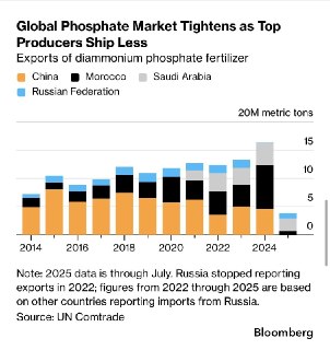 Мир грозит продовольственный кризис и голод