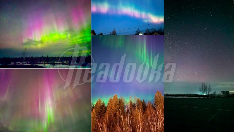 Жители севера России и Западной Сибири могут увидеть северное сияние этой ночью