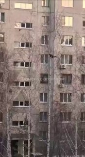 Иллюстрация 2