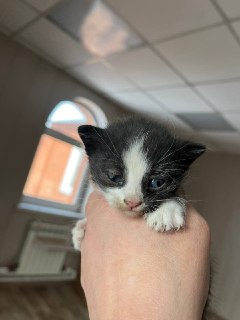 Иллюстрация 3