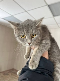 Иллюстрация 4