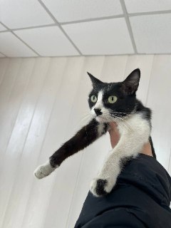 Иллюстрация 5